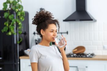 Water Purification Systems in Miami Shores, Florida